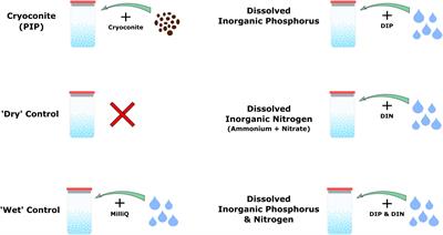 Over Winter Microbial Processes in a Svalbard Snow Pack: An Experimental Approach